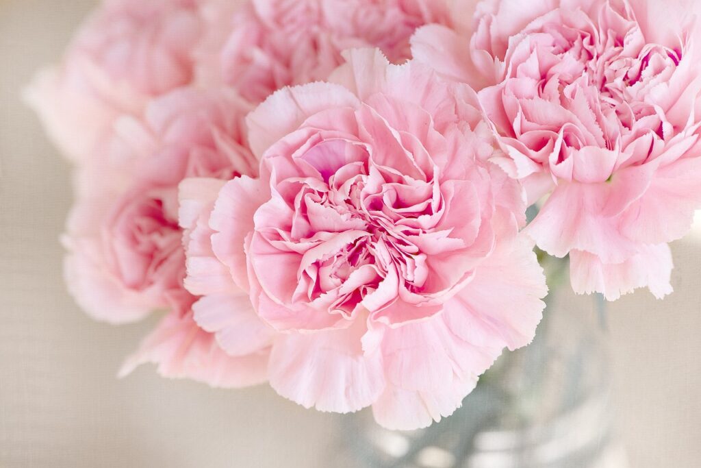 découvrez notre arrangement floral élégant, une harmonie parfaite de couleurs et de senteurs qui illuminera vos espaces. idéal pour toutes les occasions, cet art floral allie sophistication et beauté naturelle.